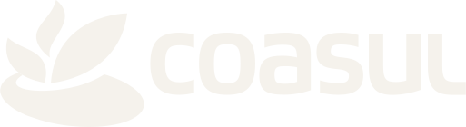 Coasul